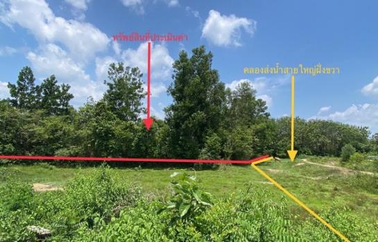 ���ʧ��� �� compos2566