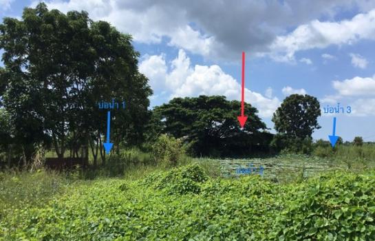 ����ç�ҹ �ԨԵ�