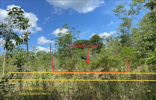 ���ʧ��� �� compos2566