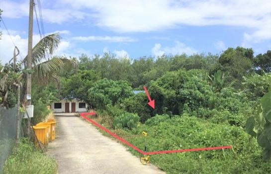 ���� �� compos2566