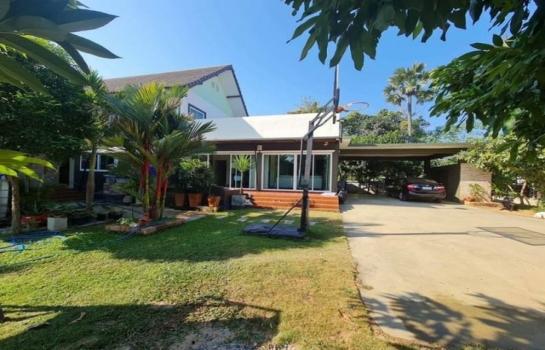 �ҧ�� �� onanong khumaphao