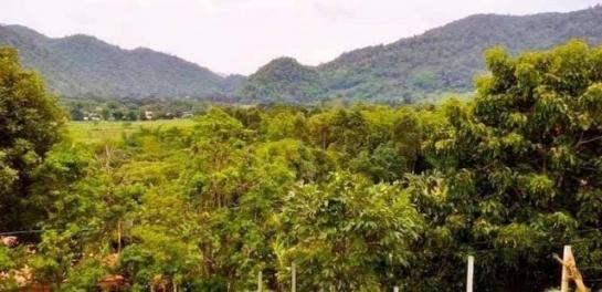 ���ᵧ �� northern1