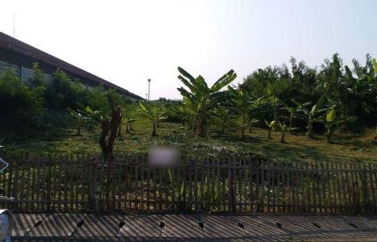 ����� �� northern1