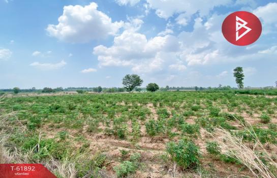 �͹�� �� The Best Property Agent