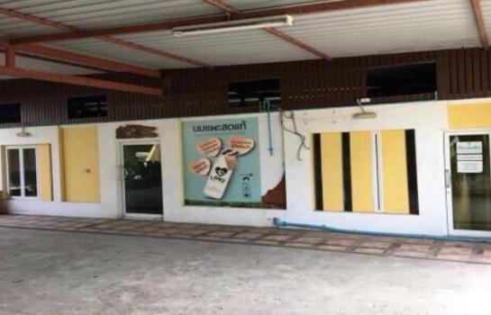 ��ا෾ �� Pukpik.TNC