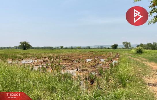 ��ɳ��š �� The Best Property Agent