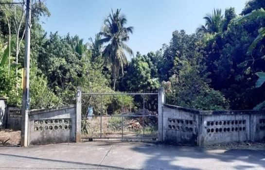 �ҧ�� �� onanong khumaphao