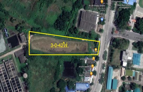 ��ªź��� �� Patkorn