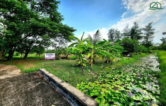 �ҭ������ �� janejane