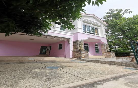 ��û�� �� Agent Support