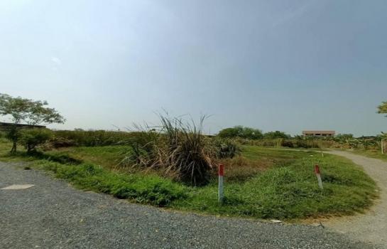 ��بѡ� �� �����¹��� ���˹����ѧ�������Ѿ��