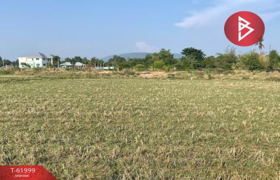 ��ɳ��š �� The Best Property Agent