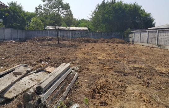 �����¹��� ���˹����ѧ�������Ѿ��