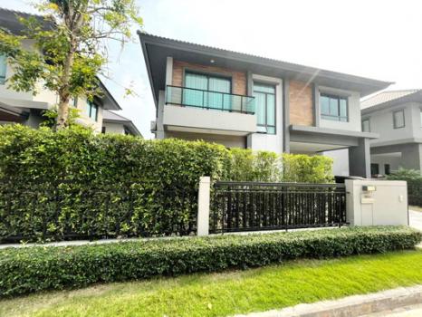 ���١�� �� Nuttapong