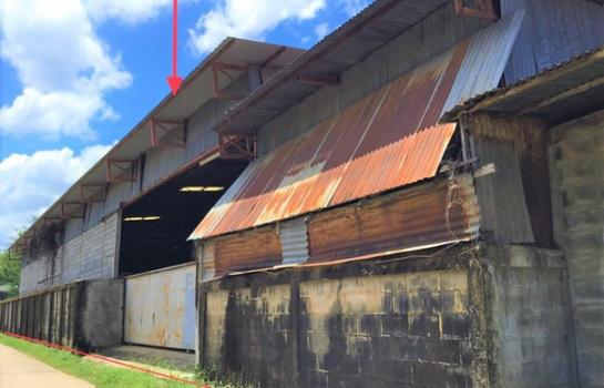 ྪú�ó� �� compos2566