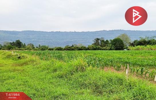 ��ɳ��š �� The Best Property Agent