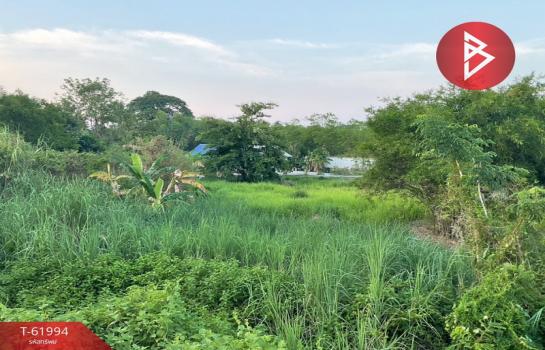 ��ɳ��š �� The Best Property Agent