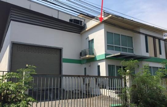 ��ط��Ҥ� �� panaya.opalopal