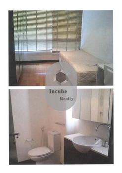 ����ҹ���� �� incube