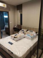 �����Ҥ͹������� �Ҥһ�С�������� 10,000 �ҷ/��͹