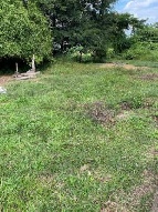 ��·��Թ �Ҥһ�С�Ȣ�� 590,000 �ҷ