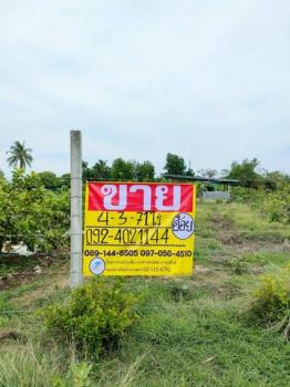 ��û�� �� zionasset1