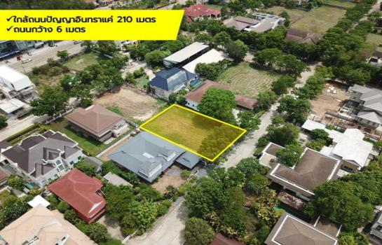 ��ا෾ �� The Vinvestor