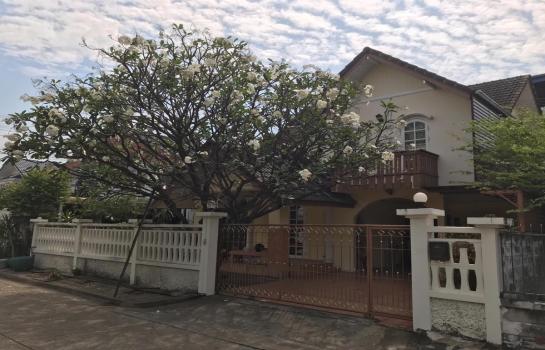 ���觪ѹ �� SW ESTATE_Rental