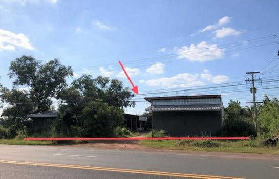 �����ʸ� �� panaya.opalopal