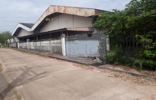 �����ä�� �� panaya.opalopal