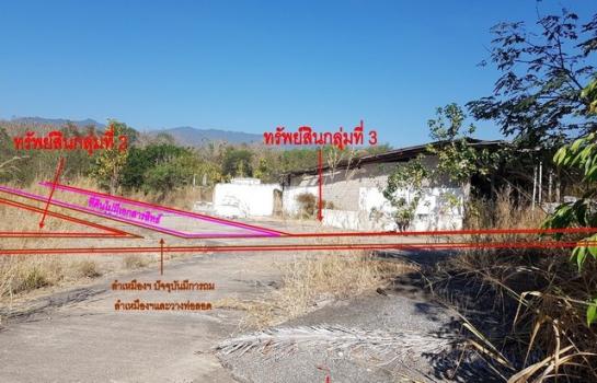 ������ �� panaya.opalopal