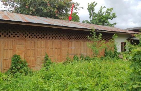 ������ �� panaya.opalopal