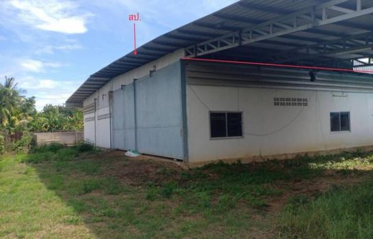 ������ �� compos2566