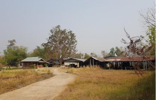 ������ �� panaya.opalopal