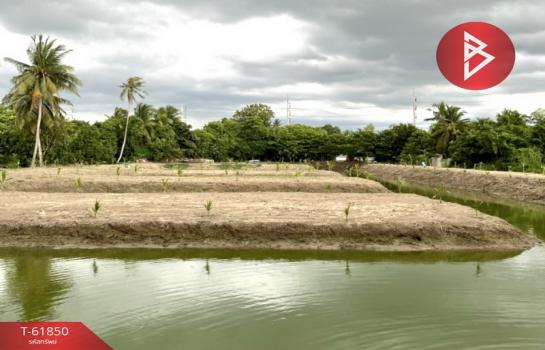 ��û�� �� The Best Property Agent