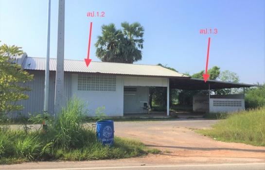 �Ҫ���� �� panaya.opalopal