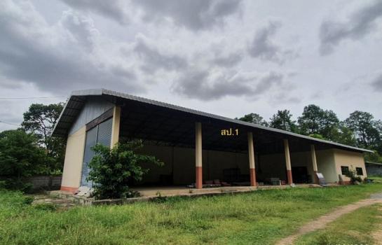 ���������� �� compos2566