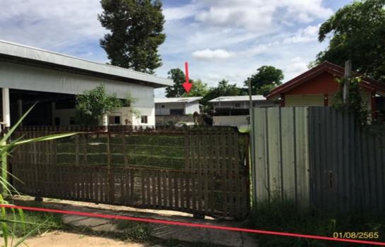 �����ʸ� �� panaya.opalopal