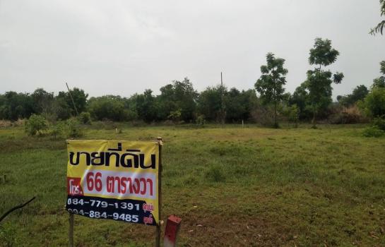 ���ԧ��� �� rattana27