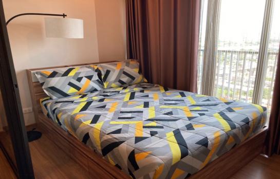 ��ا෾ �� M Property