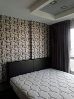 ��¤͹� ���ͧ��§���� ��§����