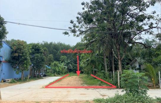 ���ʧ��� �� compos2566