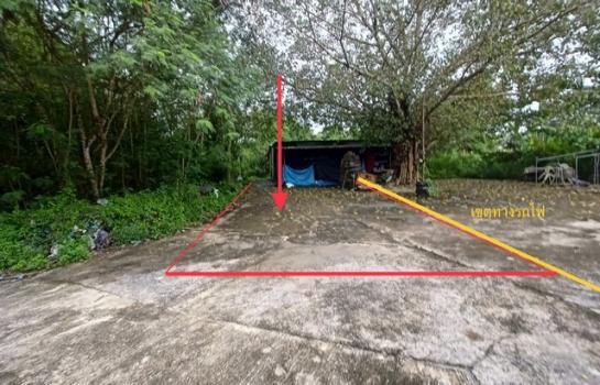 ���ʧ��� �� compos2566