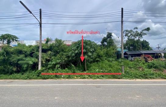 ʧ��� �� panaya.opalopal