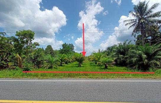 ���ʧ��� �� compos2566