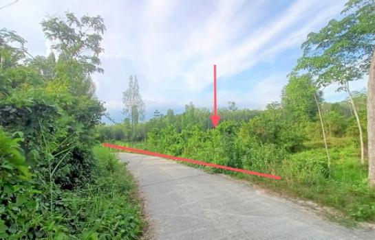 ���ʧ��� �� compos2566