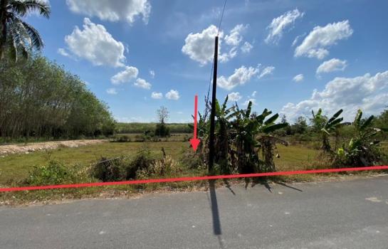 ���ʧ��� �� compos2566