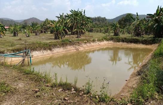 �ѹ���� �� Sawasdee