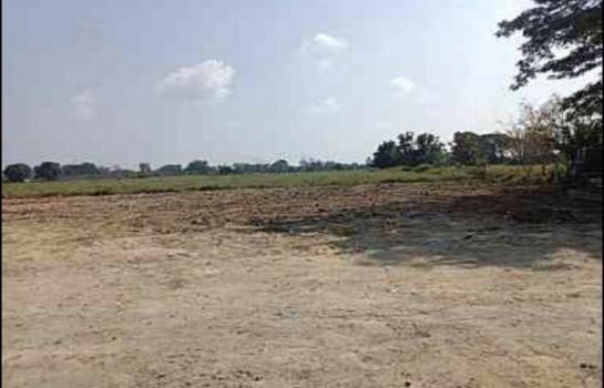 �ҧ�� �� northern1