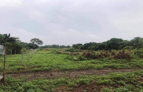 �ҧ�� �� northern1